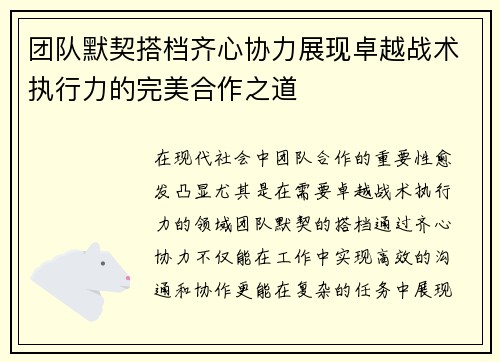 团队默契搭档齐心协力展现卓越战术执行力的完美合作之道