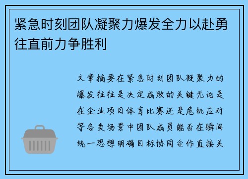 紧急时刻团队凝聚力爆发全力以赴勇往直前力争胜利