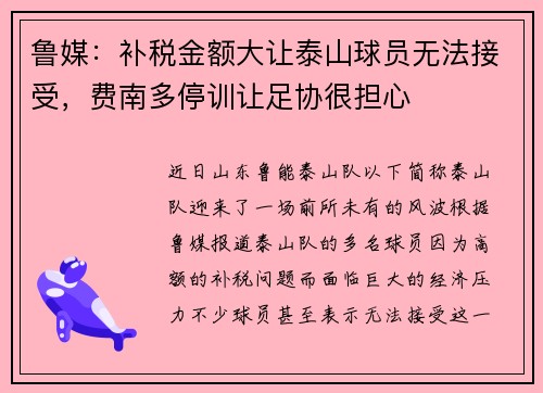 鲁媒：补税金额大让泰山球员无法接受，费南多停训让足协很担心