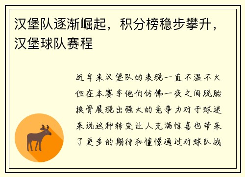 汉堡队逐渐崛起，积分榜稳步攀升，汉堡球队赛程