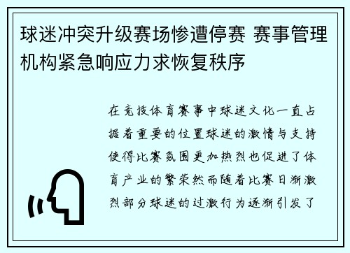球迷冲突升级赛场惨遭停赛 赛事管理机构紧急响应力求恢复秩序