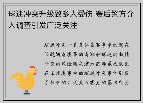 球迷冲突升级致多人受伤 赛后警方介入调查引发广泛关注